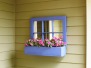 Mirrors in Windows